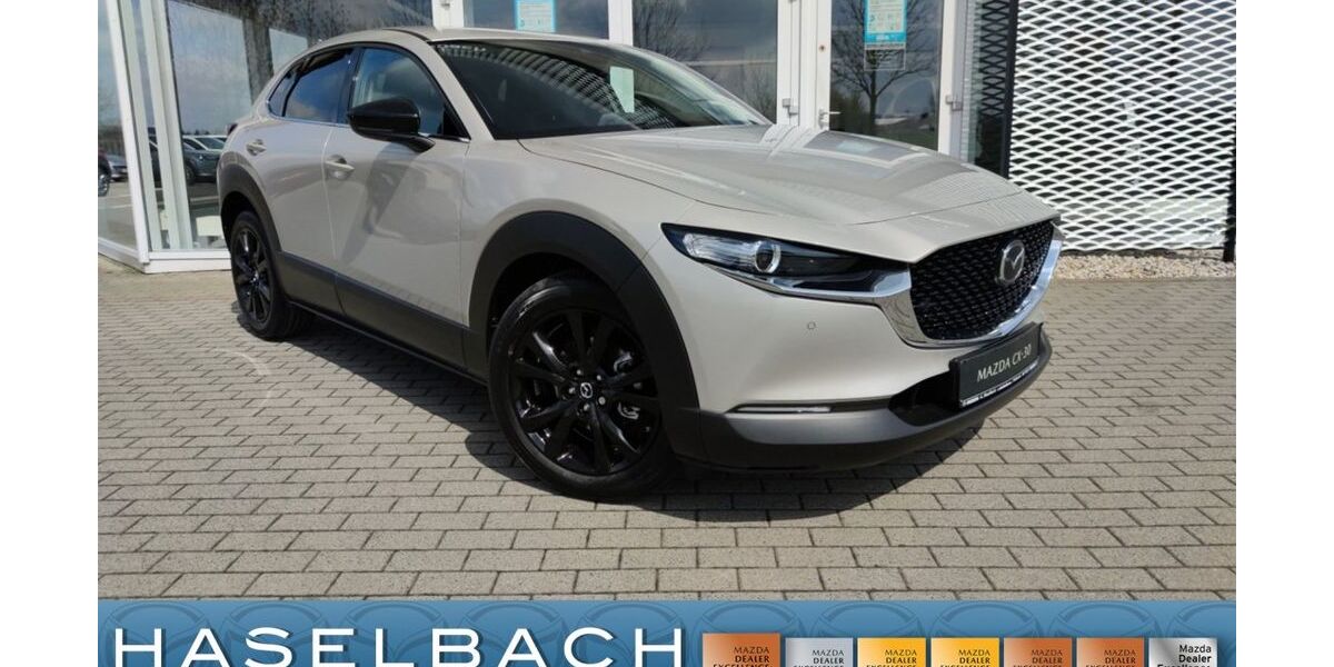Mazda CX-30 2.787 km 26.465 &euro; Delitzsch 04509