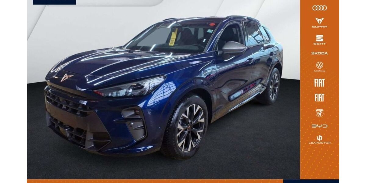 Cupra Terramar 22.133 km 38.980 &euro; Pilsach 92367