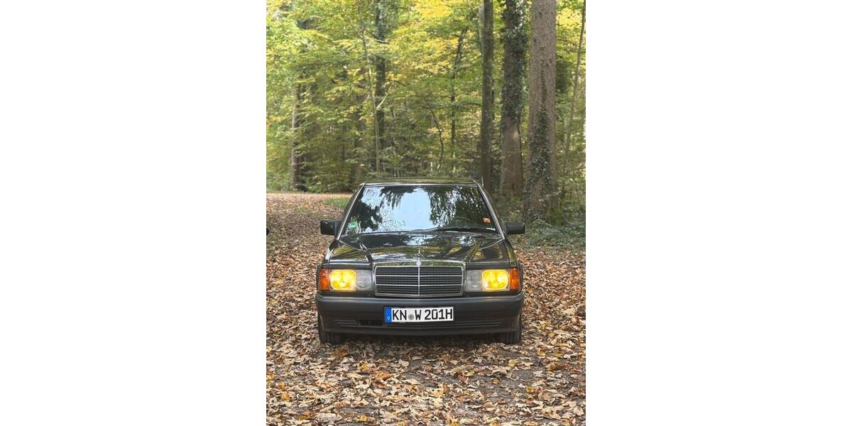 Mercedes-Benz 190 222.000 km 7.450 &euro; Radolfzell am Bodensee 78315