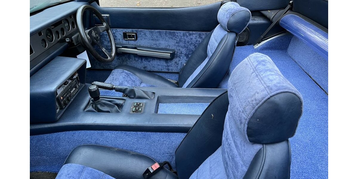 TVR Tasmin SCHNÄPPCHEN 132.000 km 9.999 &euro; Hamburg 22339