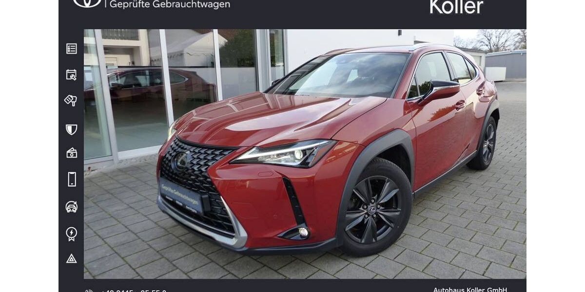 Lexus UX 95.520 km 19.200 &euro; Bad Gögging 93333
