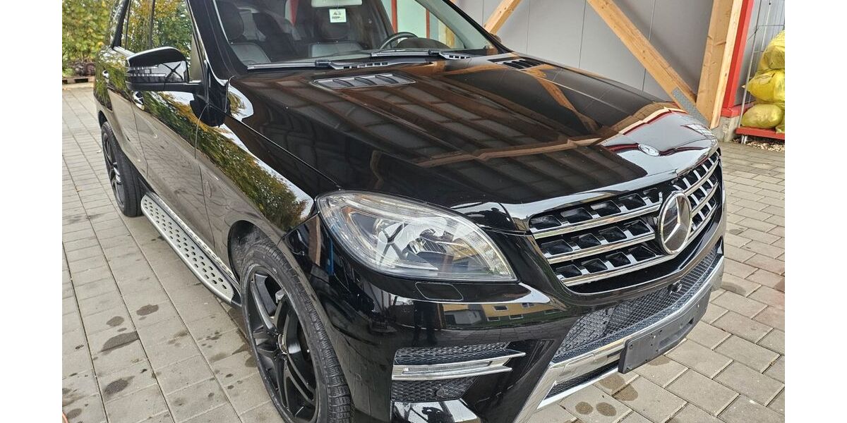 Mercedes-Benz ML 350 212.905 km 21.900 &euro; Syrgenstein 89428