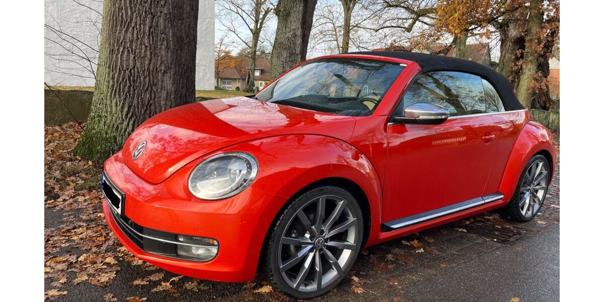 VW Beetle 90.000 km 25.000 &euro; Wolfsburg 38440