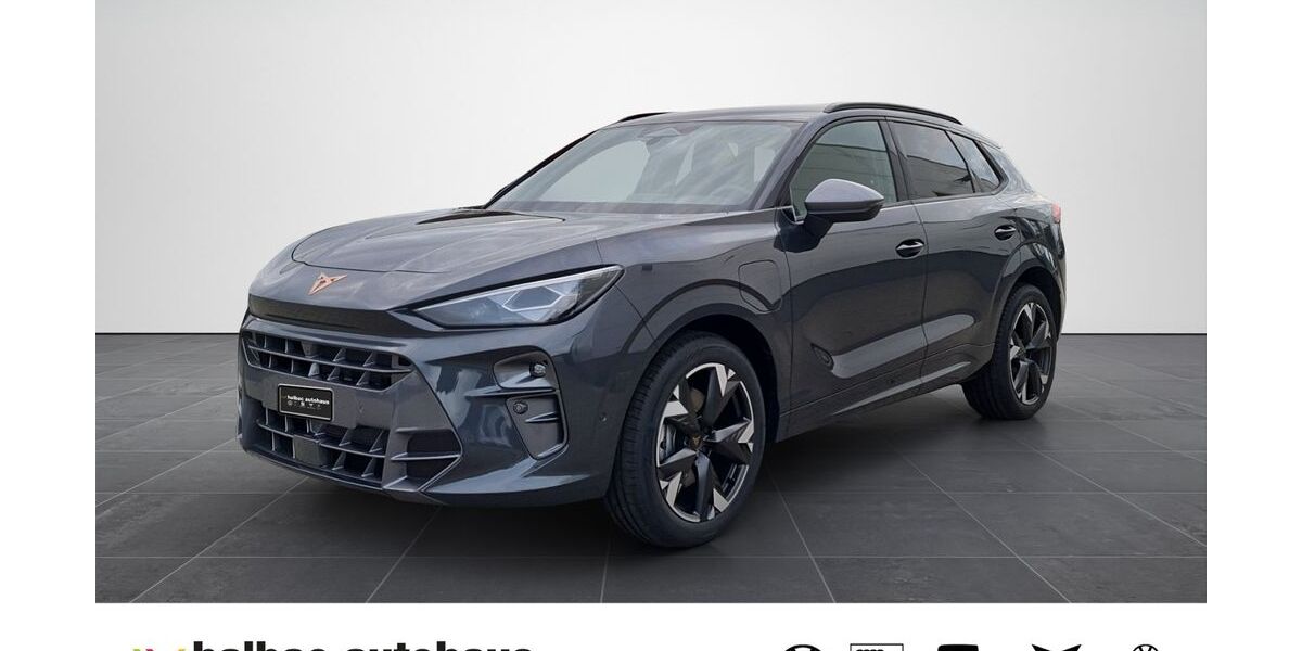 Cupra Terramar 9.900 km 47.920 &euro; Halberstadt 38820