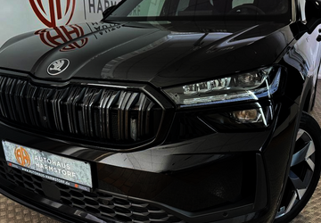 Skoda Kodiaq 1.060 km 43.975 &euro; Harmstorf/Hamburg 21228