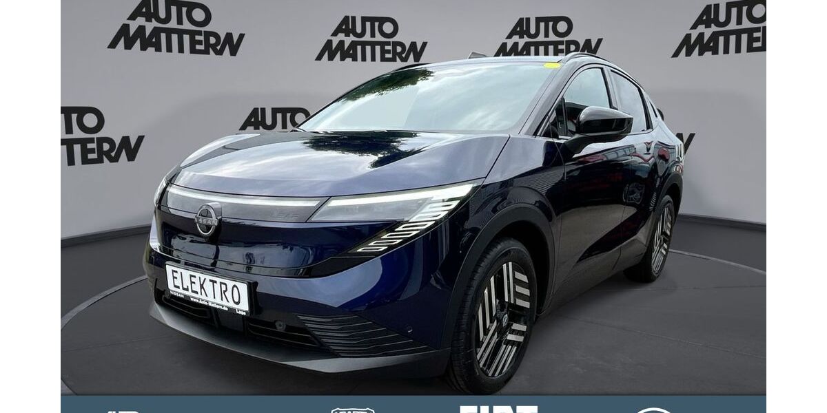 Nissan Leaf 1.900 km 40.980 &euro; Lage 32791