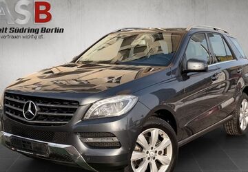Mercedes-Benz ML 250 178.100 km 19.899 &euro; Berlin 12055