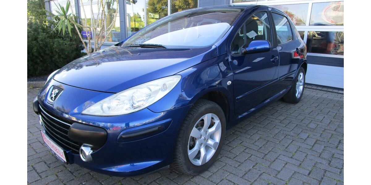 Peugeot 307 111.385 km 3.990 &euro; Gotha 99867