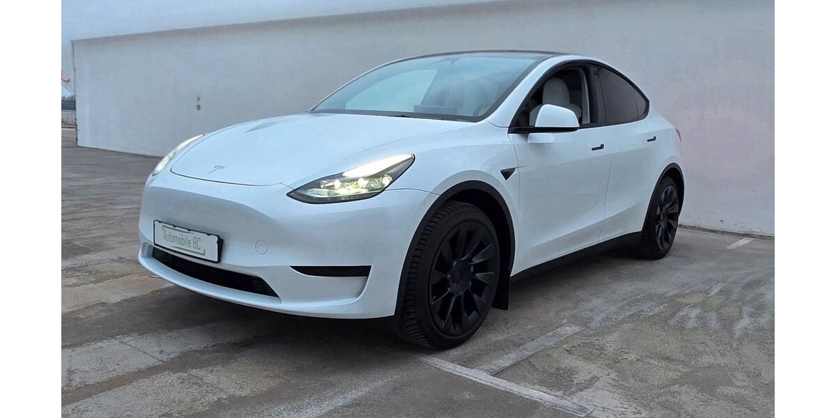 Tesla Model Y 59.500 km 29.800 &euro; Braunschweig 38102