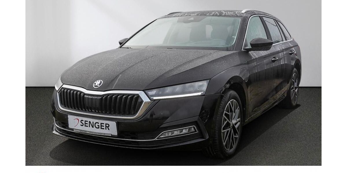 Skoda Octavia 122.850 km 19.380 &euro; Bad Segeberg 23795