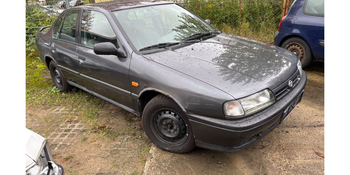 Nissan Primera 180.000 km 1.570 &euro; Woldegk an der A20 17348