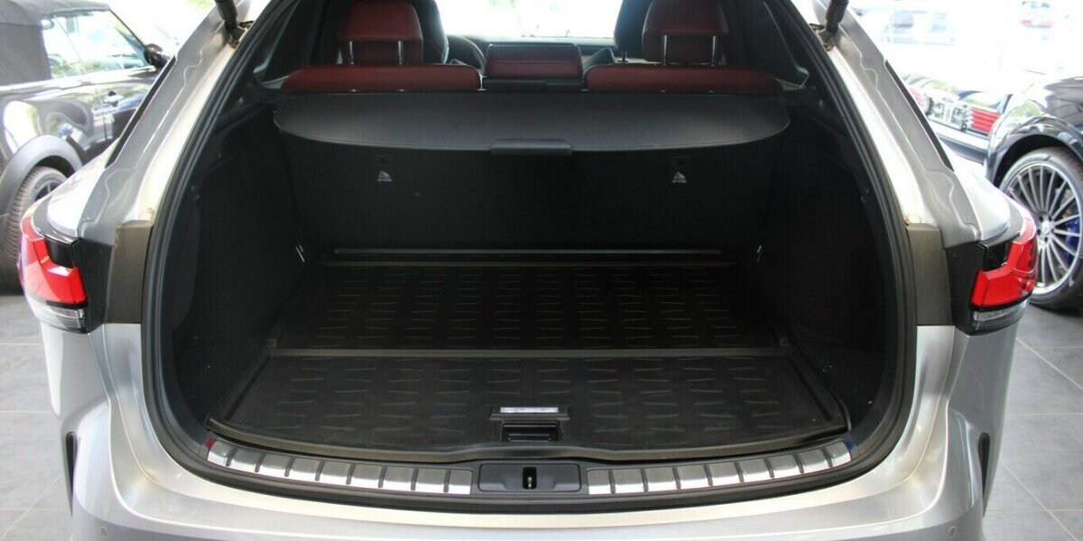 Lexus RX 500H F Sport 9.985 km 59.980 &euro; Euskirchen 53881