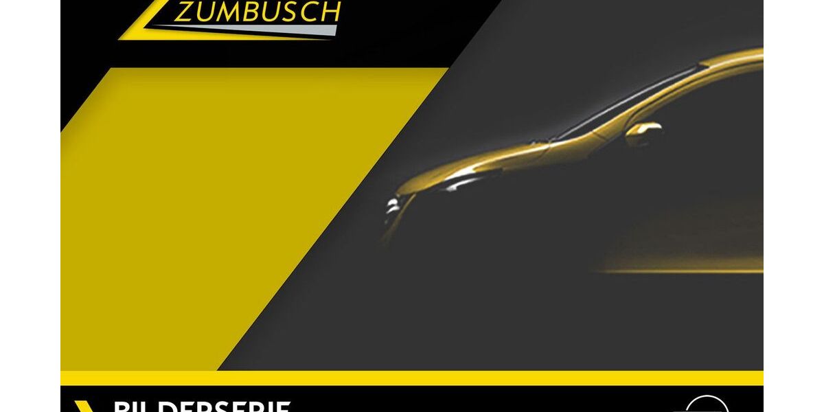 Opel Grandland (X) 21.251 km 43.980 &euro; Dülmen 48249