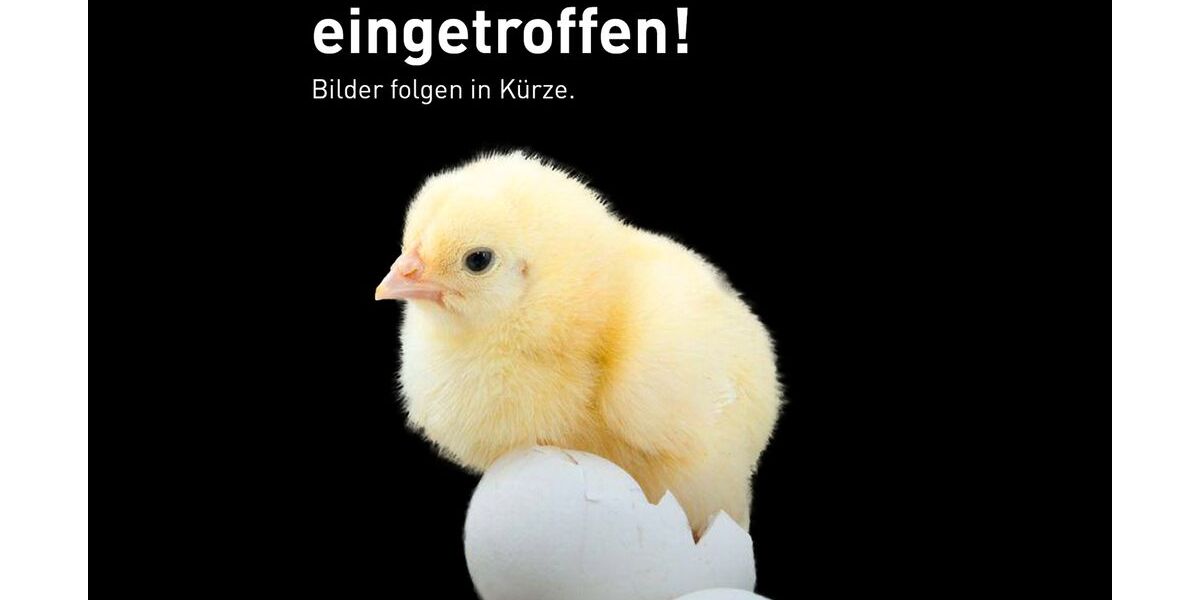 Smart #3 5.351 km 45.990 &euro; Neu-Ulm 89231