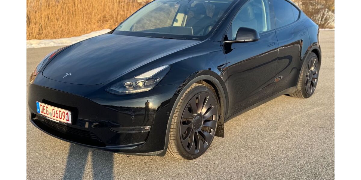 Tesla Model Y 79.500 km 34.990 &euro; Außernzell 94532