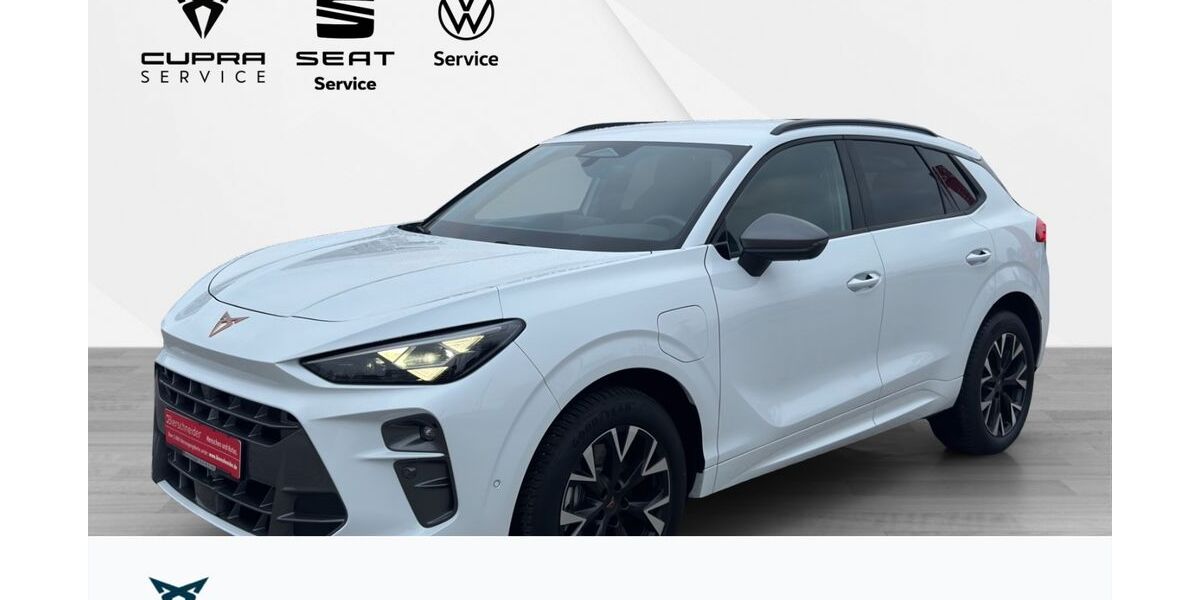 Cupra Terramar 13.625 km 39.950 &euro; Gunzenhausen 91710