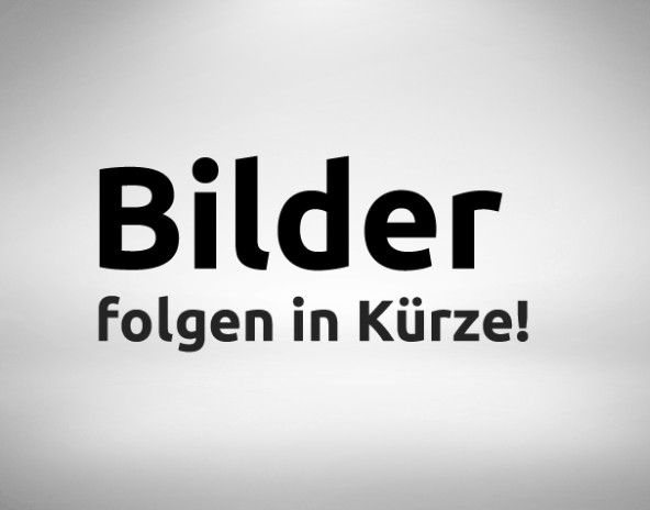 Ford Transit 15.914 km 19.900 &euro; Speyer 67346