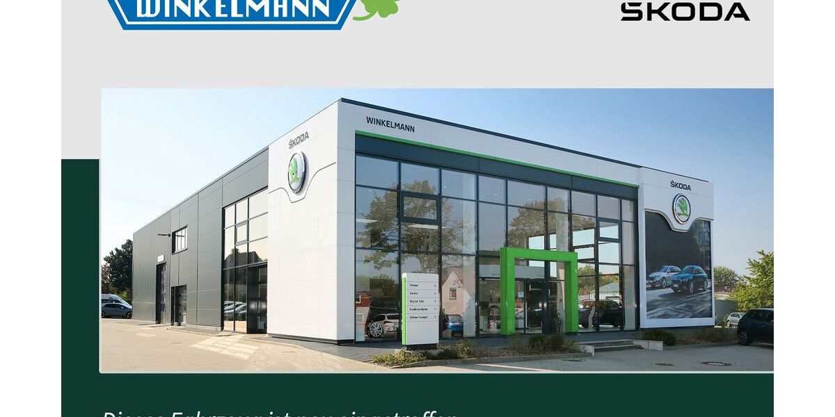 Skoda Enyaq 1.200 km 64.800 &euro; Soltau 29614