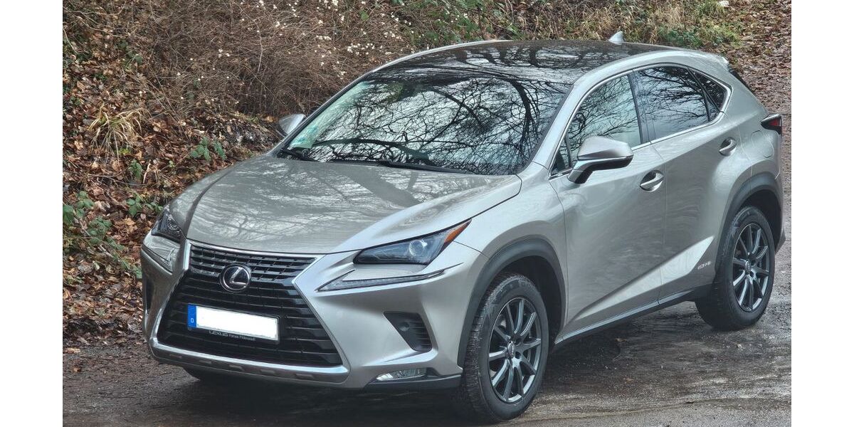 Lexus NX 300 178.000 km 19.999 &euro; Schweinfurt 97424