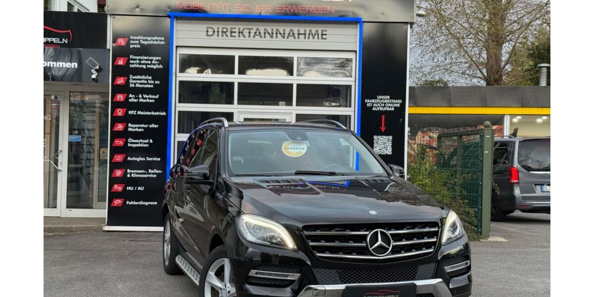 Mercedes-Benz ML 250 198.000 km 16.990 &euro; Kappeln 24376