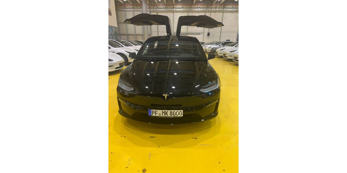 Tesla Model X 110.000 km 66.000 &euro; Maulbronn 75433