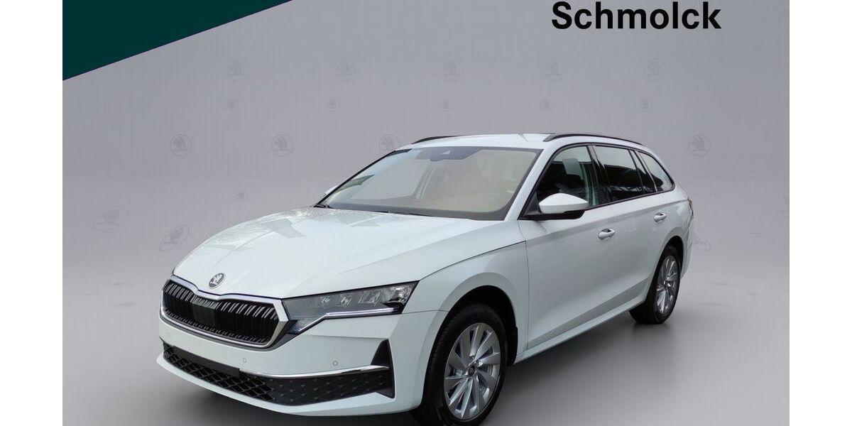 Skoda Octavia 34.100 km 31.290 &euro; Emmendingen 79312