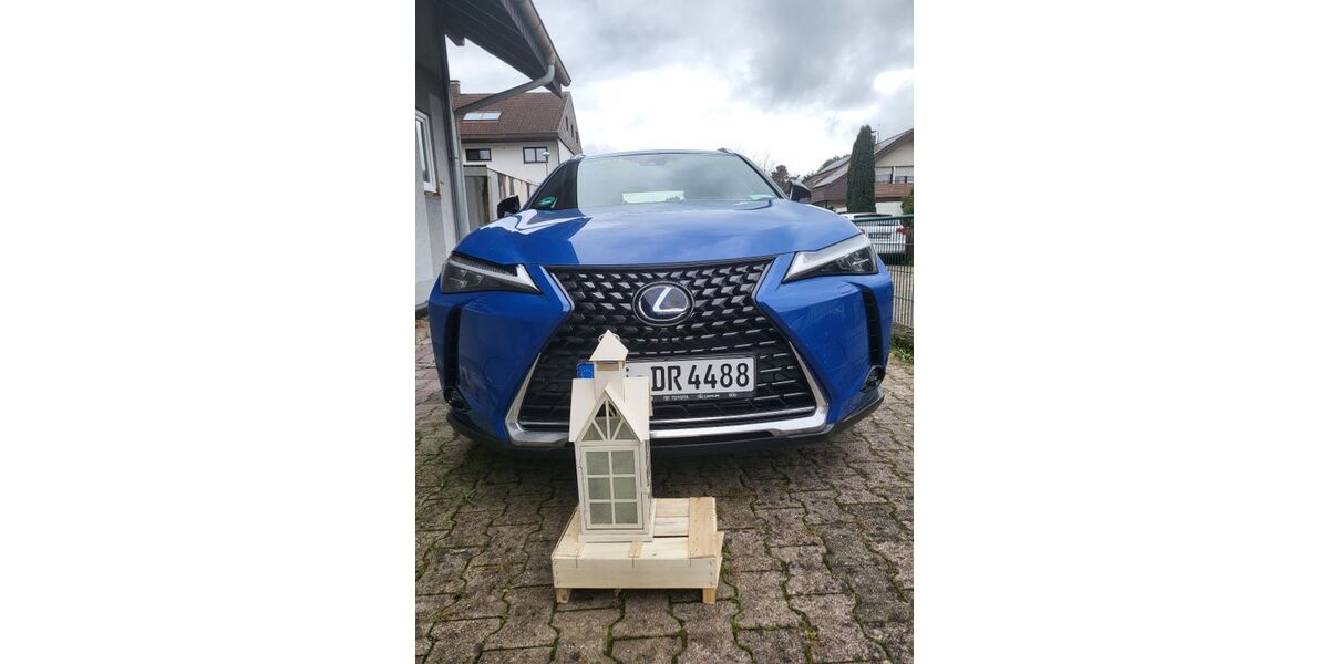 Lexus UX 40.000 km 27.200 &euro; rheinfelden 79618