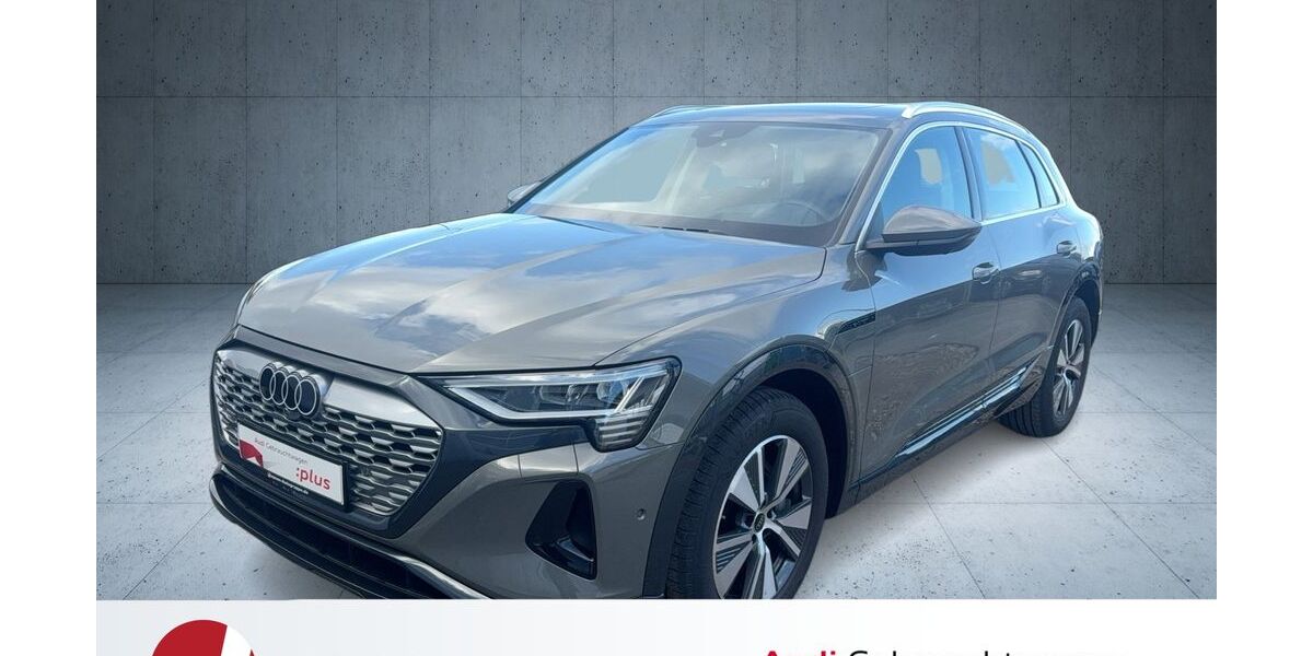 Audi Q8 e-tron 25.120 km 59.390 &euro; Neutraubling 93073