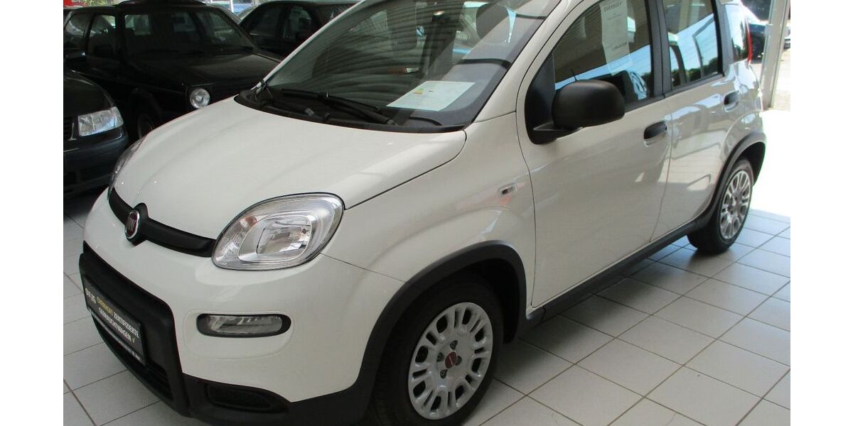 Fiat Panda 5.000 km 13.950 &euro; Lingen - Baccum 49811