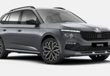 Skoda Kamiq 6.000 km 32.725 &euro; Heide 25746