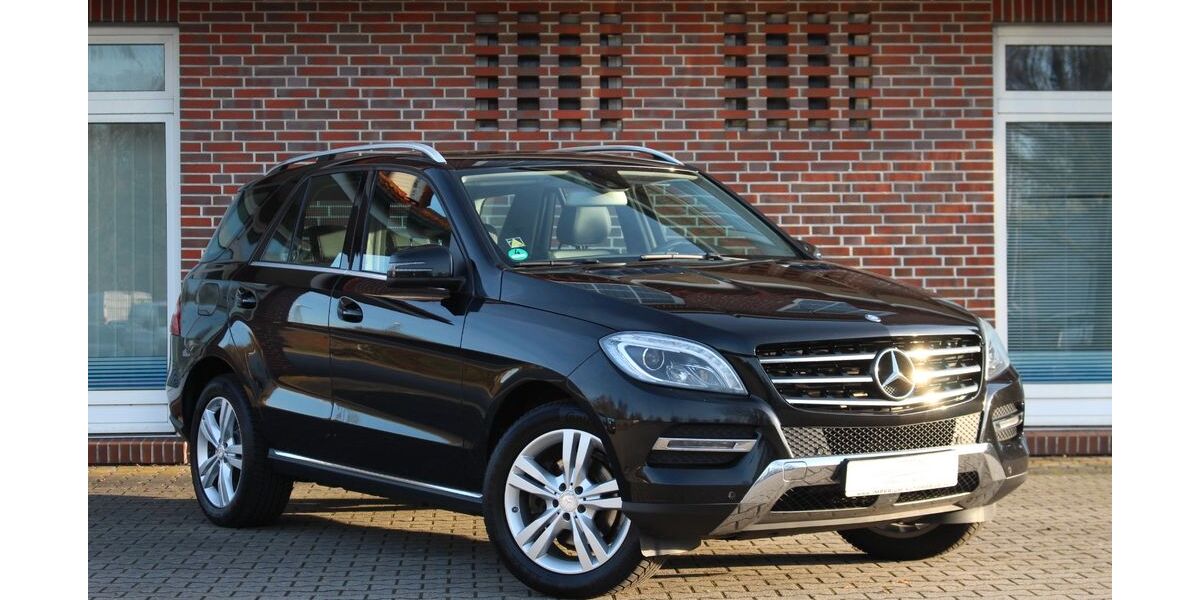 Mercedes-Benz ML 250 225.600 km 16.890 &euro; Nortmoor 26845