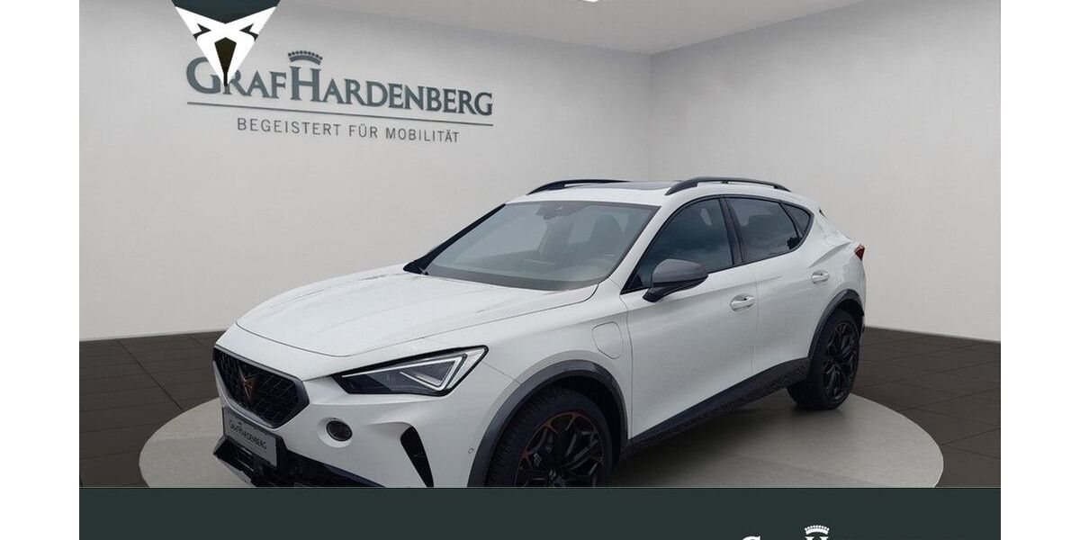 Cupra Formentor 11.750 km 36.790 &euro; Landau 76829