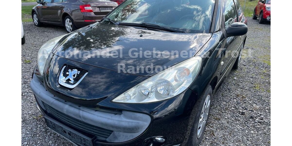 Peugeot 206 119.000 km 3.999 &euro; Demmin 17109
