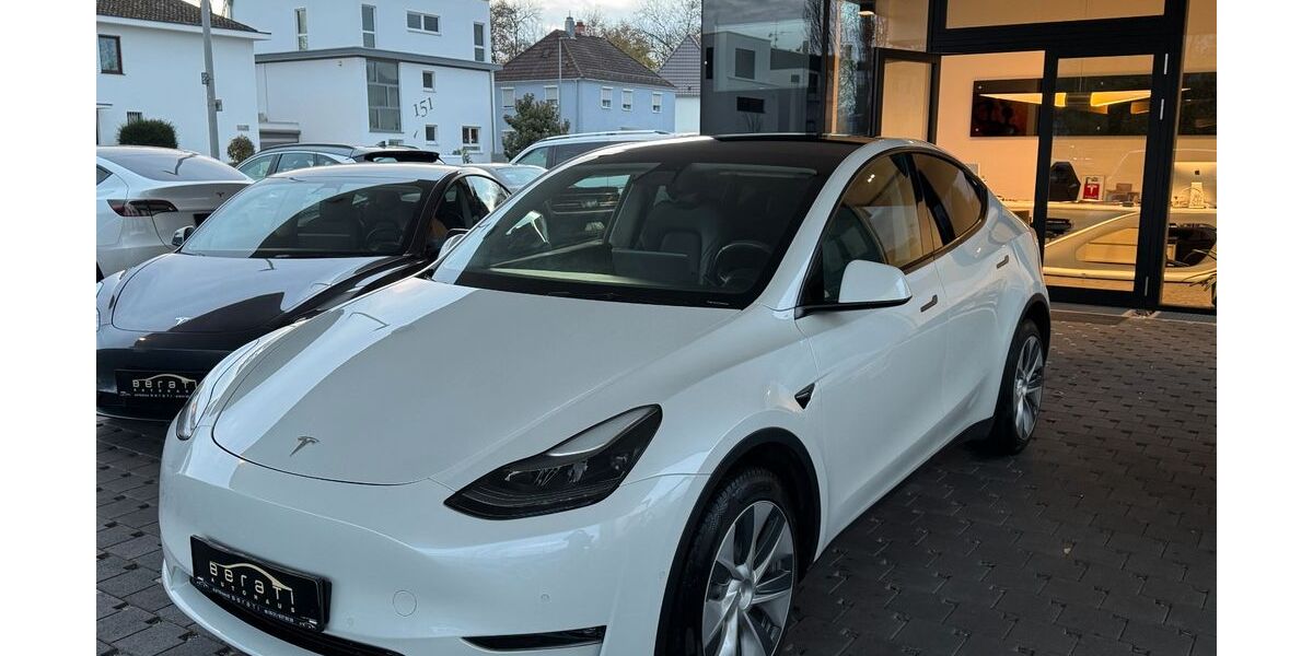 Tesla Model Y 50.000 km 31.500 &euro; Ludwigshafen 67063