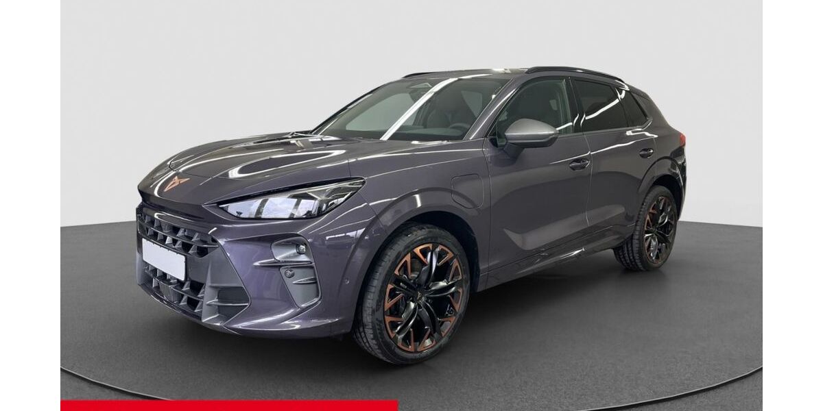 Cupra Terramar 9.900 km 47.950 &euro; Ingolstadt 85053