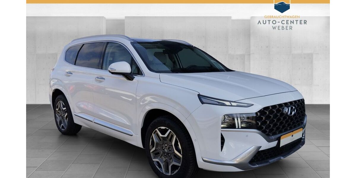 Hyundai SANTA FE 3.600 km 44.480 &euro; Markkleeberg 04416