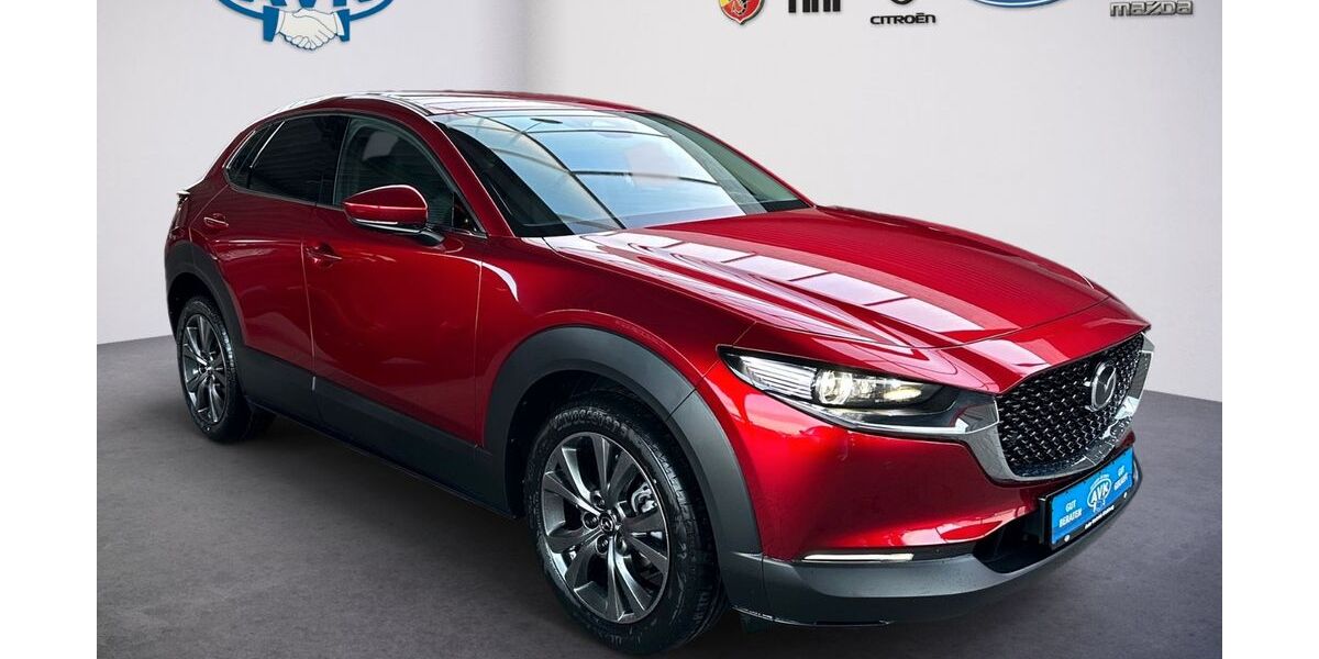 Mazda CX-30 1.150 km 31.990 &euro; Husum 25813