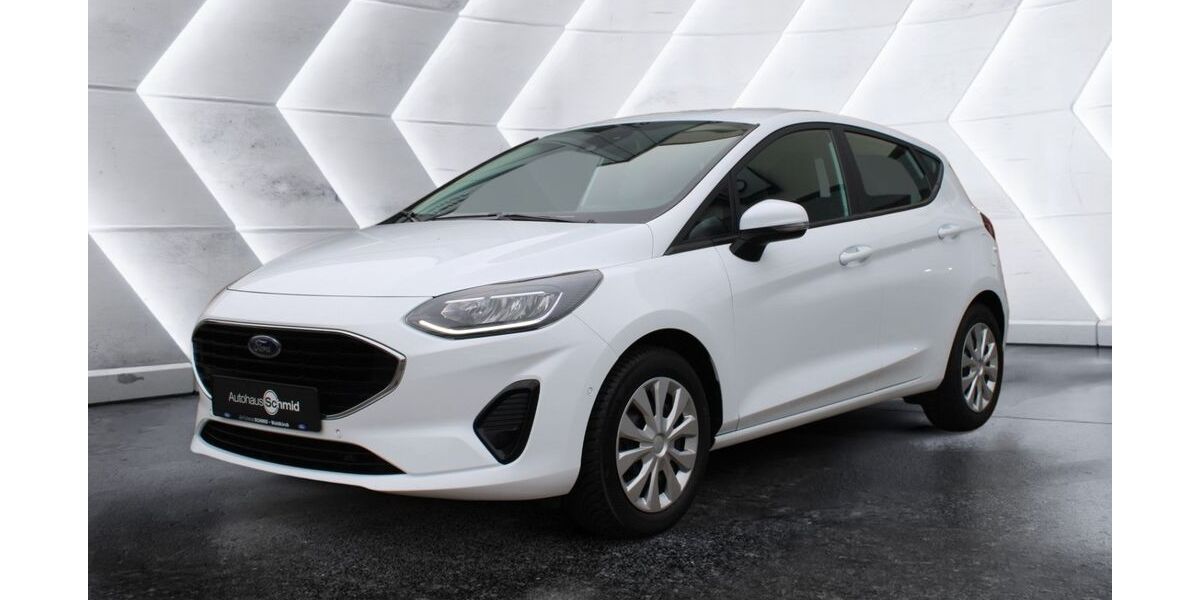 Ford Fiesta 88.150 km 10.900 &euro; Waldkirch 79183