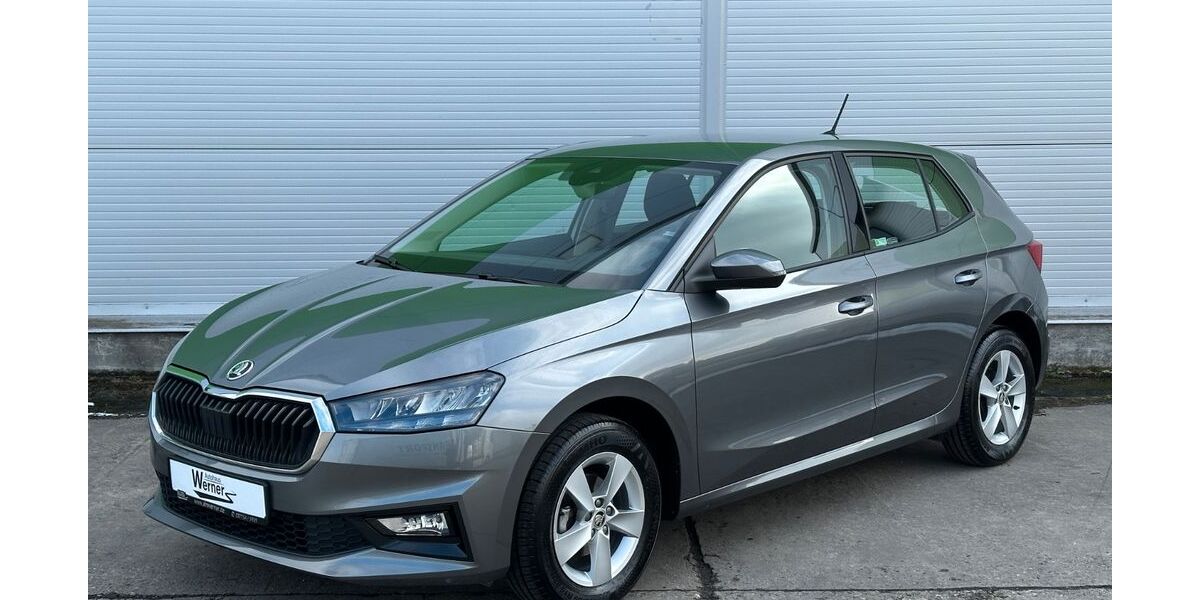 Skoda Fabia 6.683 km 16.870 &euro; Zwönitz / OT Dorfchemnitz 08297