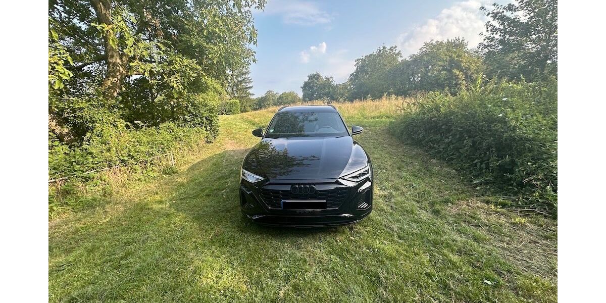 Audi Q8 e-tron 31.000 km 52.000 &euro; Bruchsal 76646