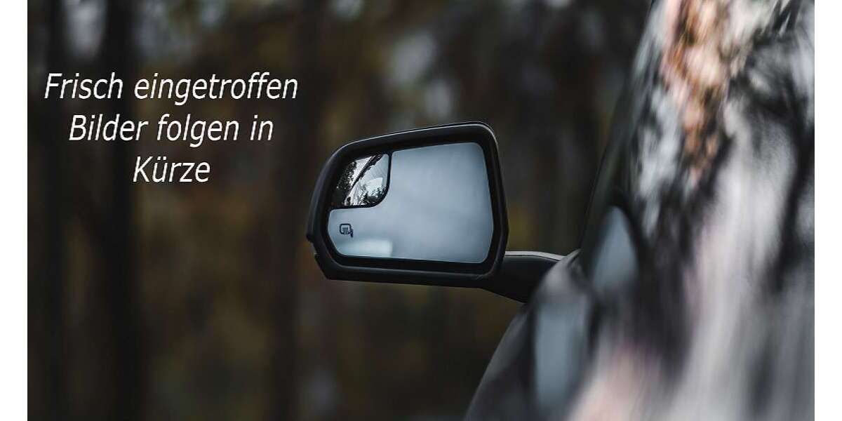 Renault Master 120.995 km 13.990 &euro; Brandenburg 14772