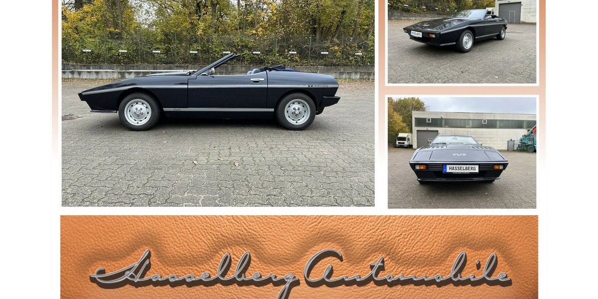 TVR Tasmin SCHNÄPPCHEN 132.000 km 9.999 &euro; Hamburg 22339