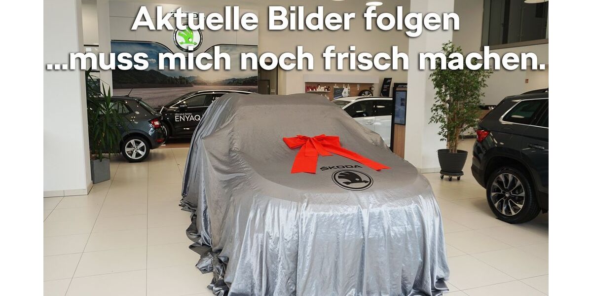 Skoda Elroq 11.000 km 40.890 &euro; Emmendingen 79312