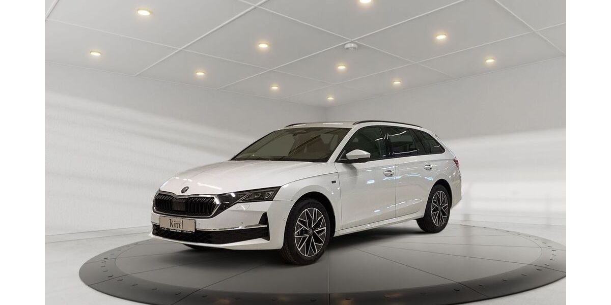 Skoda Octavia 1.200 km 42.990 &euro; Weißenfels 06667