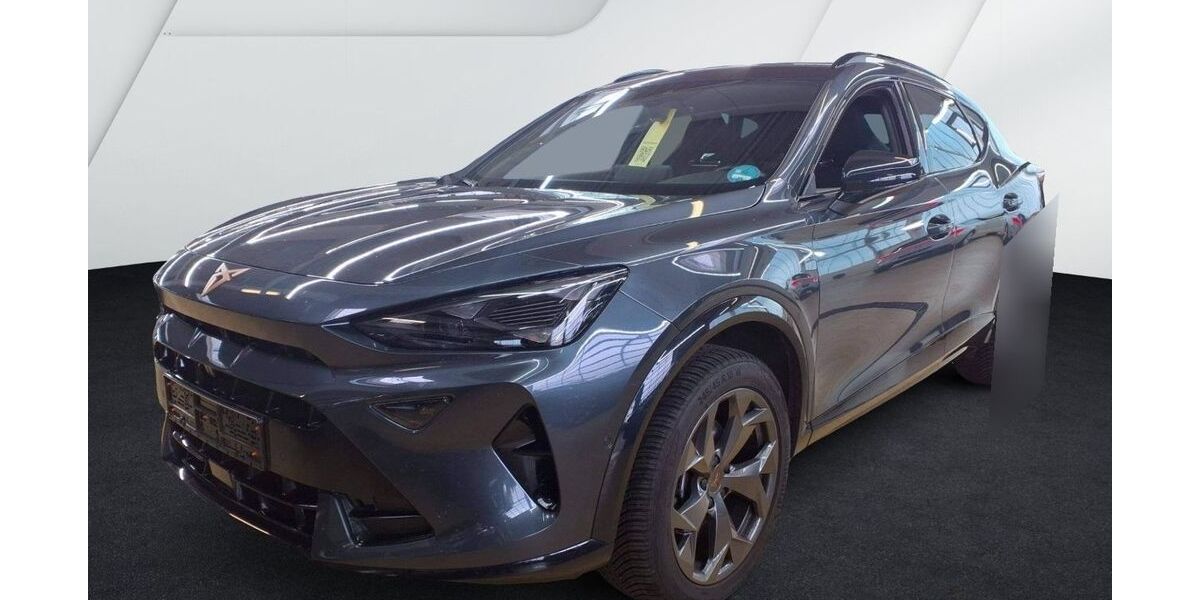 Cupra Formentor 25.600 km 31.980 &euro; Balingen 72336