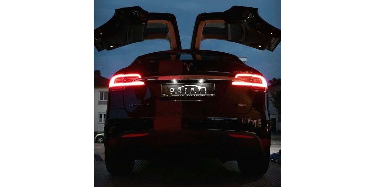 Tesla Model X 76.000 km 57.950 &euro; Ludwigshafen 67063