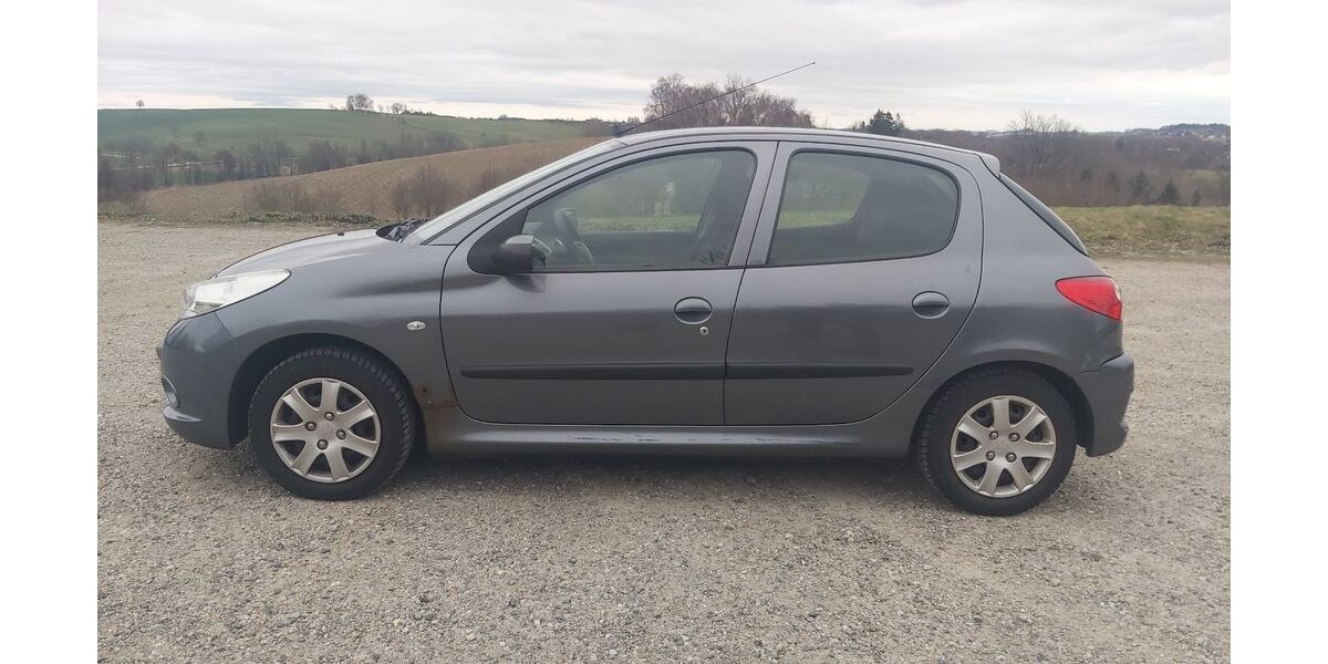 Peugeot 206 101.400 km 1.250 &euro; Dorfen 84405