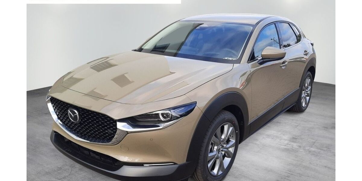 Mazda CX-30 3.298 km 25.350 &euro; Torgau 04860