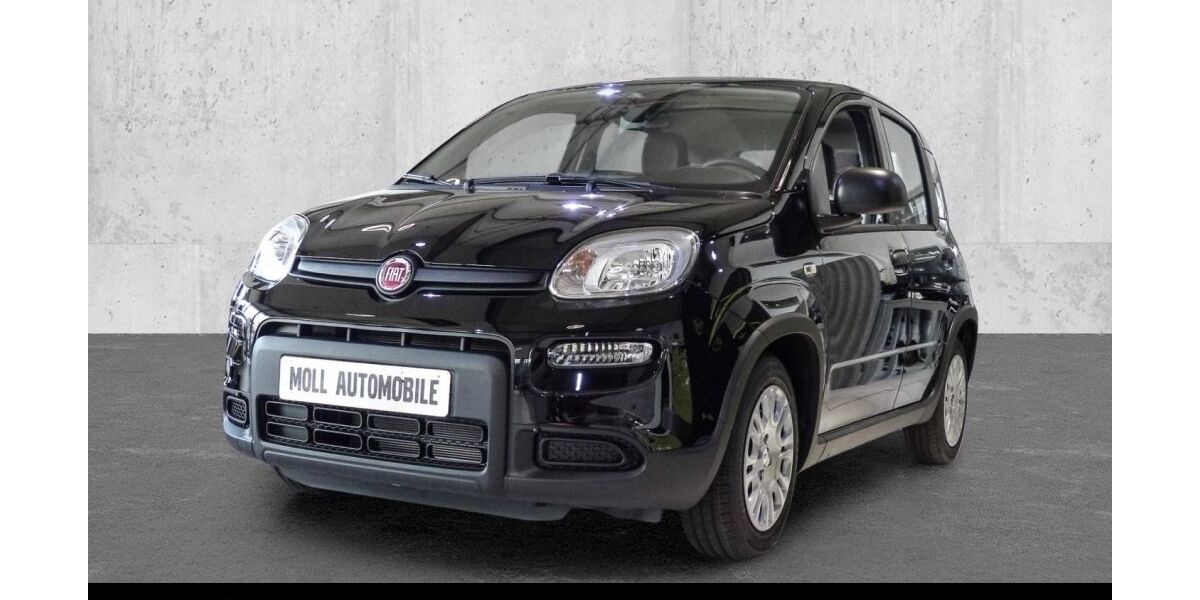 Fiat Panda 4.500 km 12.980 &euro; Euskirchen 53879