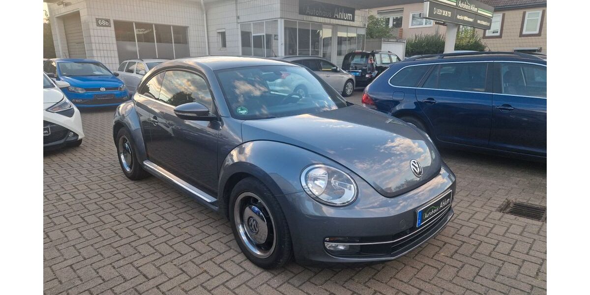 VW Beetle 164.000 km 8.999 &euro; Wolfenbüttel 38302